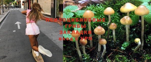 наркотики Арсеньев