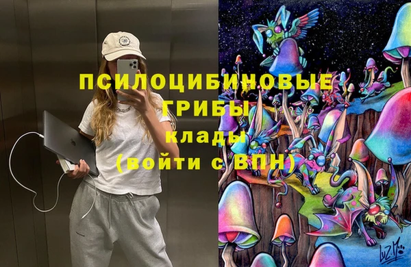 эйфоретик Аркадак