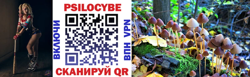 Галлюциногенные грибы Psilocybine cubensis Изобильный